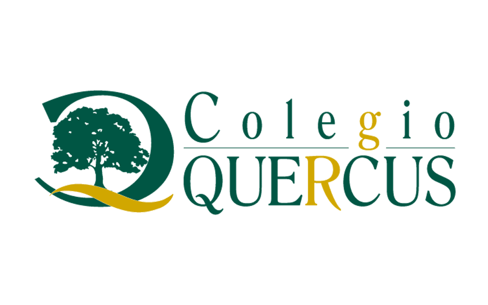 Diseño Logotipo